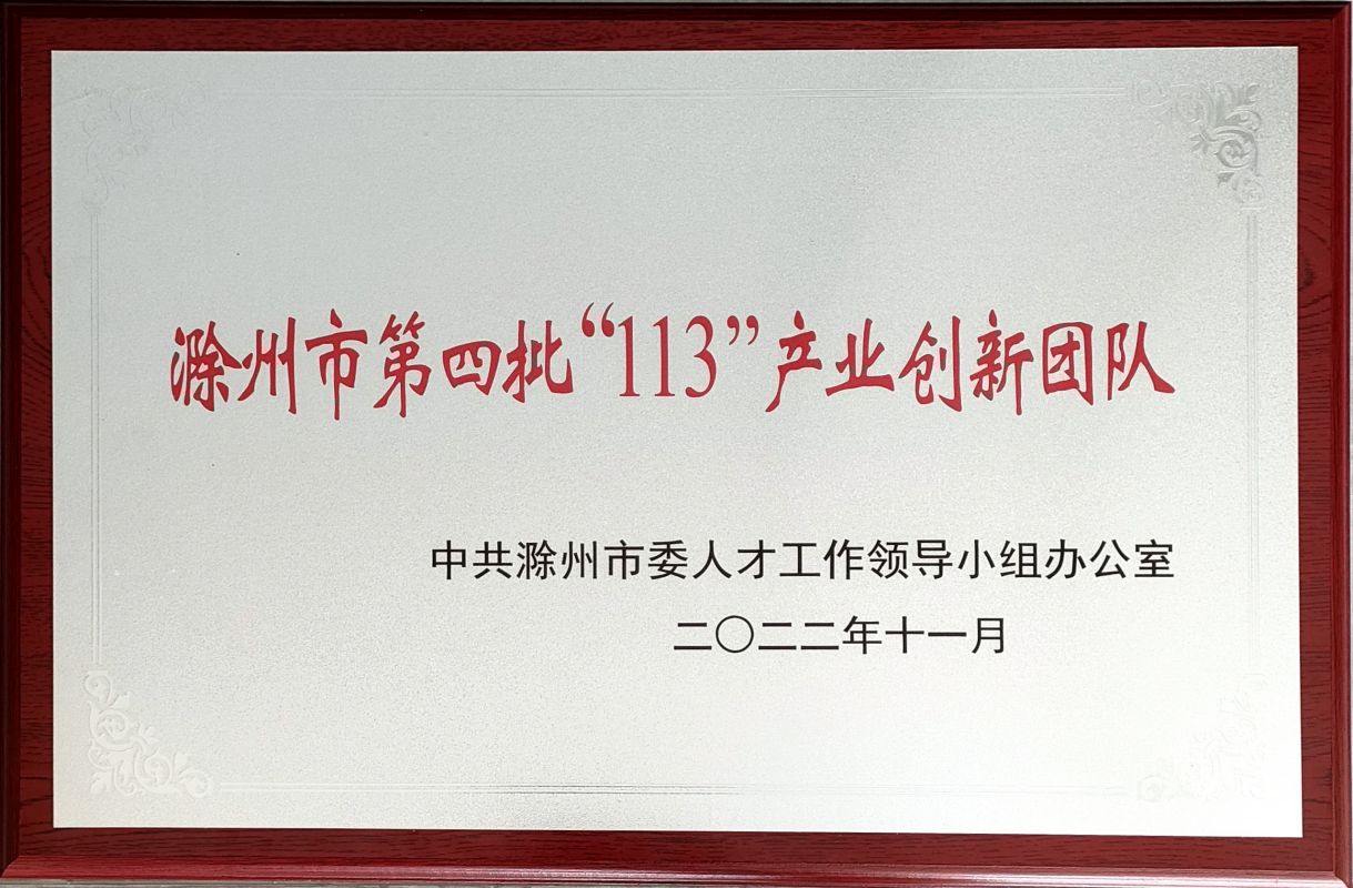 滁州市第四批“113”产业创新团队
