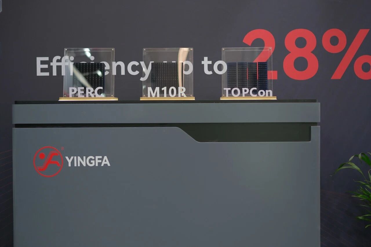 1782442665871494.jpg